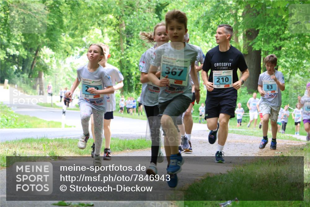 17.05.2025 - Störlauf Strokosch-Dieckow http://msf.ph/oto/7846943 17.05.2025 13:40:14 Laufen 2025, 367, 210, 83 meine-sportfotos.de