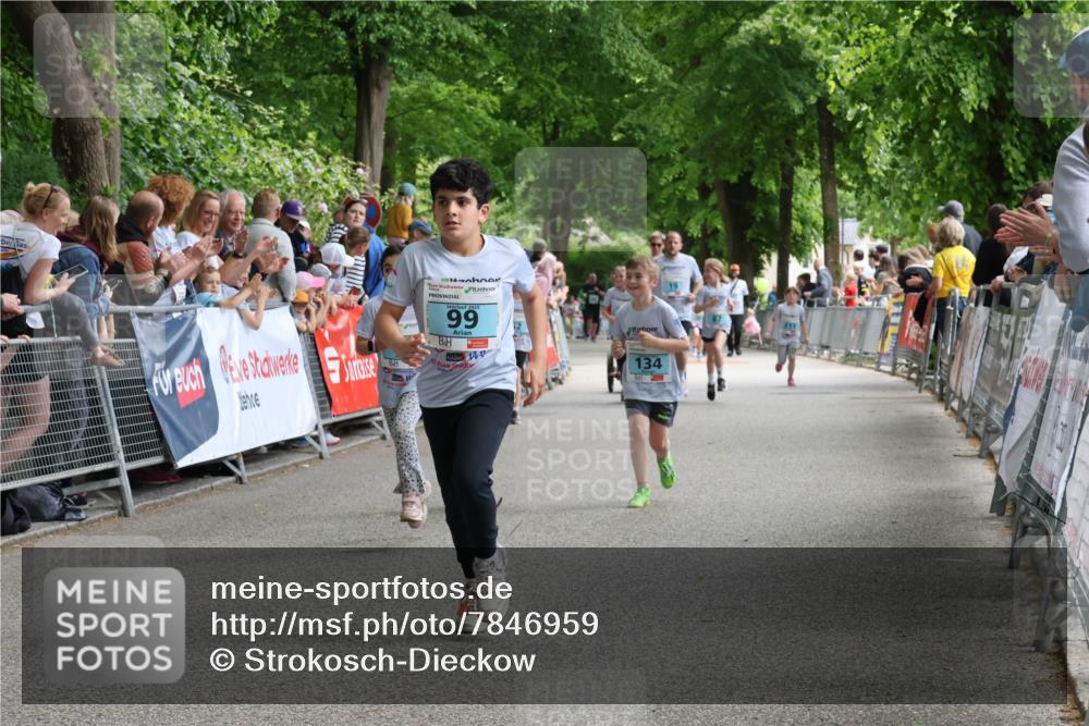 17.05.2025 - Störlauf Strokosch-Dieckow http://msf.ph/oto/7846959 17.05.2025 13:43:30 Ziel 2025, 99, 134 meine-sportfotos.de