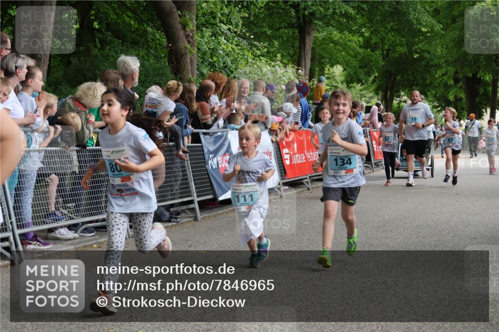 17.05.2025 - Störlauf Strokosch-Dieckow http://msf.ph/oto/7846965 17.05.2025 13:43:32 Ziel 80, 134, 111, 82, 19, 211 meine-sportfotos.de