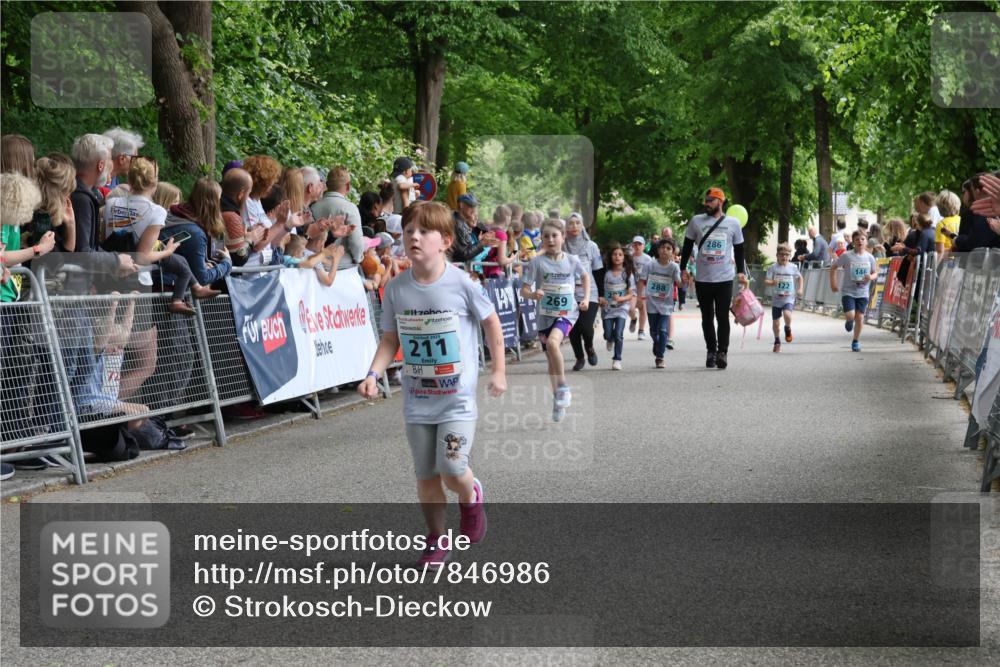 17.05.2025 - Störlauf Strokosch-Dieckow http://msf.ph/oto/7846986 17.05.2025 13:43:41 Ziel 211, 207, 269, 288, 286, 146 meine-sportfotos.de