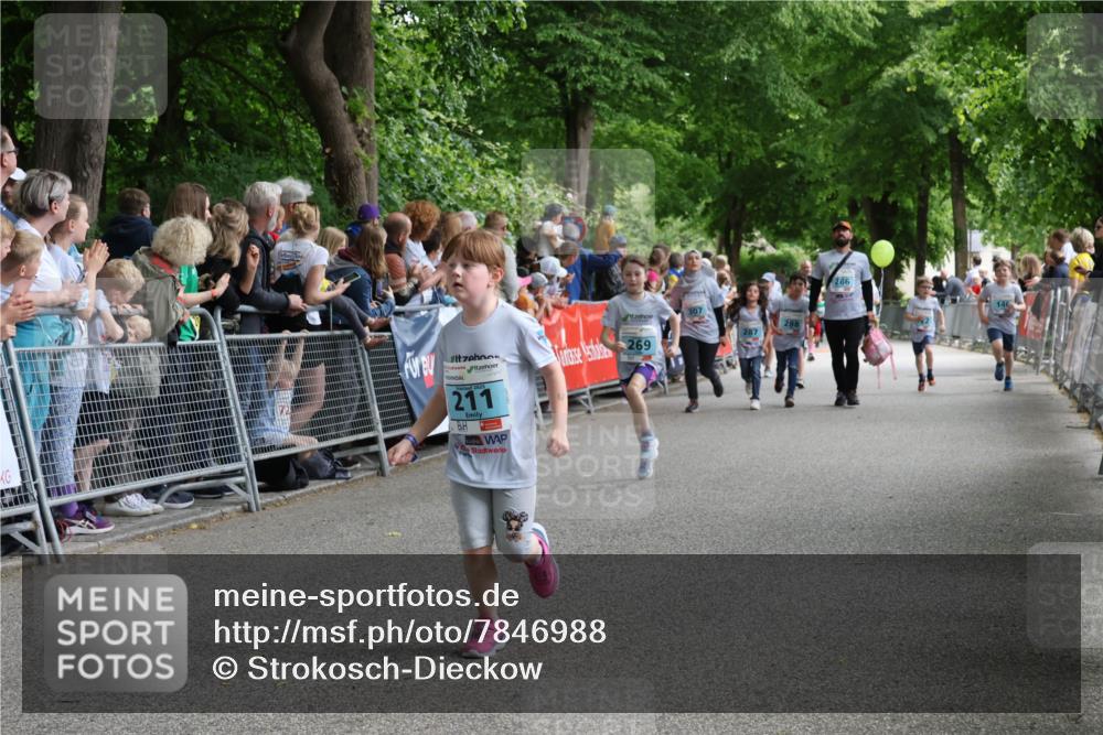 17.05.2025 - Störlauf Strokosch-Dieckow http://msf.ph/oto/7846988 17.05.2025 13:43:41 Ziel 211, 269, 286, 307 meine-sportfotos.de