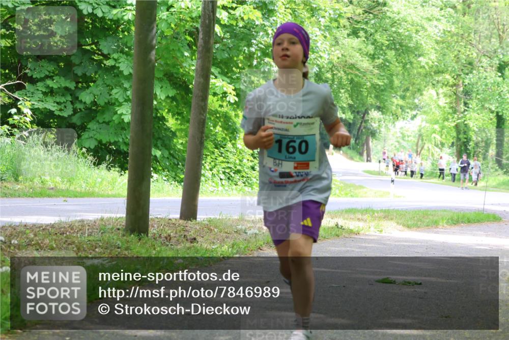 17.05.2025 - Störlauf Strokosch-Dieckow http://msf.ph/oto/7846989 17.05.2025 13:40:23 Laufen 2025, 160 meine-sportfotos.de