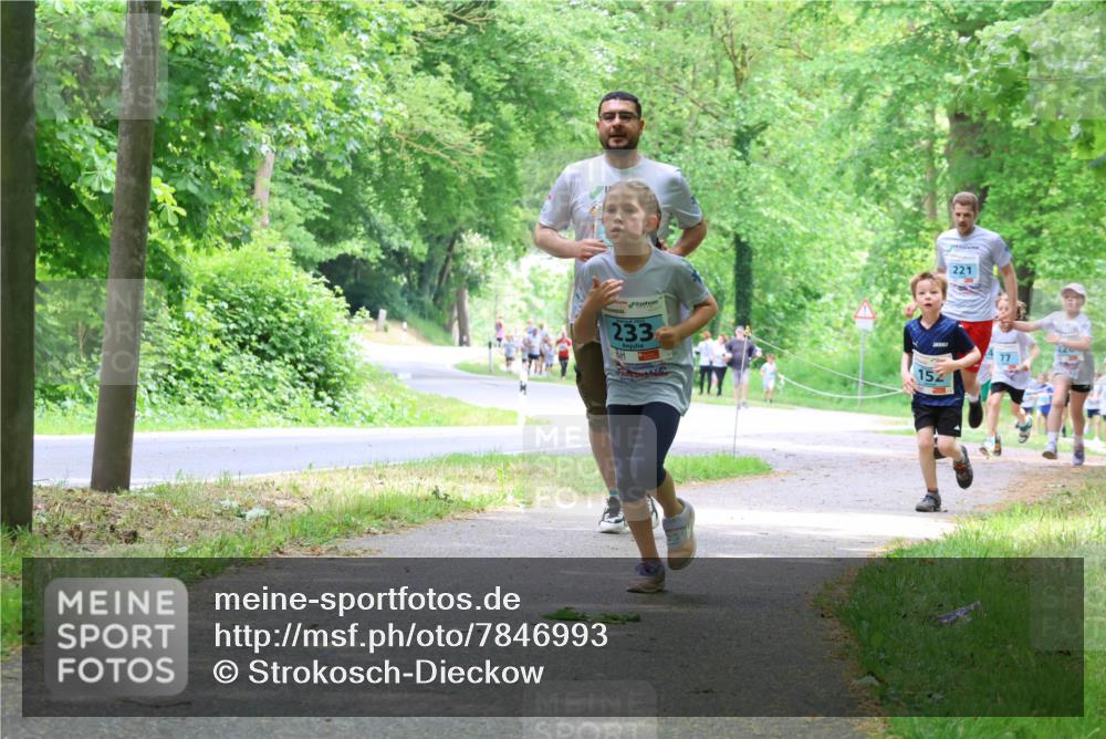 17.05.2025 - Störlauf Strokosch-Dieckow http://msf.ph/oto/7846993 17.05.2025 13:40:27 Laufen 233, 221, 77, 152 meine-sportfotos.de
