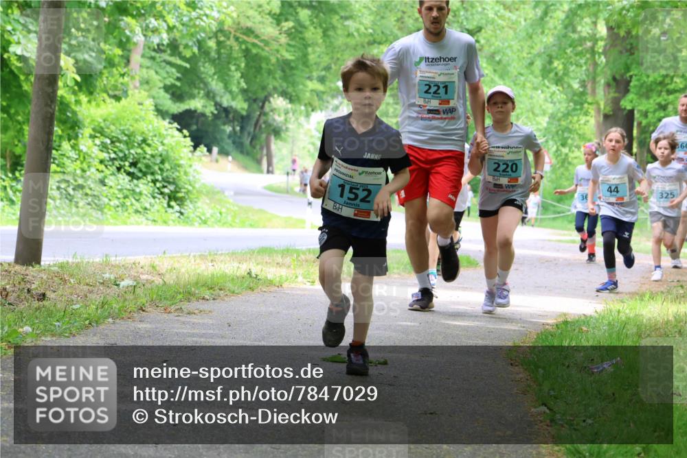 17.05.2025 - Störlauf Strokosch-Dieckow http://msf.ph/oto/7847029 17.05.2025 13:40:31 Laufen 221, 2025, 152, 220, 44, 325, 36, 60 meine-sportfotos.de