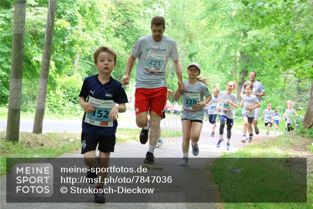 17.05.2025 - Störlauf Strokosch-Dieckow http://msf.ph/oto/7847036 17.05.2025 13:40:32 Laufen 2025, 152, 221, 220, 361, 44 meine-sportfotos.de