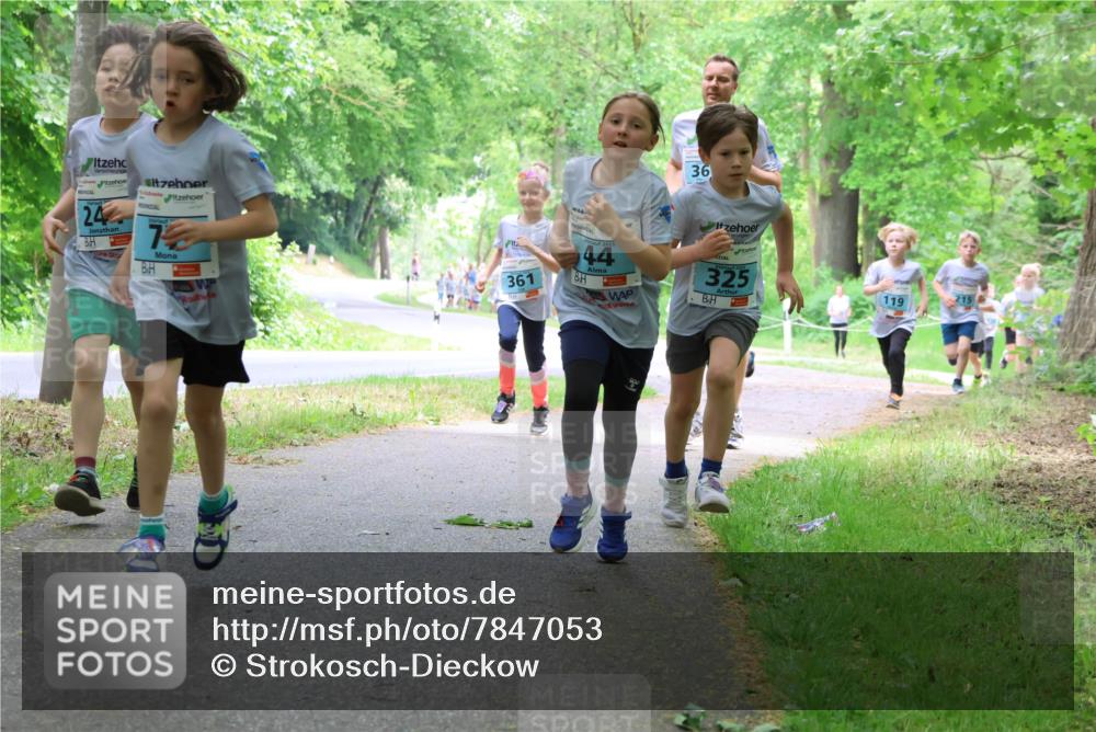 17.05.2025 - Störlauf Strokosch-Dieckow http://msf.ph/oto/7847053 17.05.2025 13:40:35 Laufen 24, 361, 36, 2025, 44, 325, 119, 215 meine-sportfotos.de