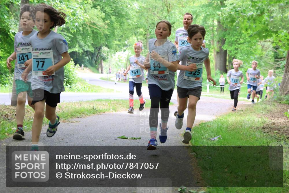17.05.2025 - Störlauf Strokosch-Dieckow http://msf.ph/oto/7847057 17.05.2025 13:40:35 Laufen 241, 2025, 77, 361, 44, 360, 525, 119 meine-sportfotos.de