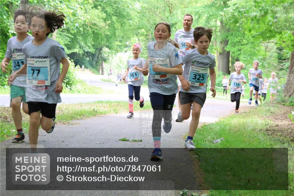 17.05.2025 - Störlauf Strokosch-Dieckow http://msf.ph/oto/7847061 17.05.2025 13:40:35 Laufen 241, 2025, 77, 361, 36, 325, 119 meine-sportfotos.de