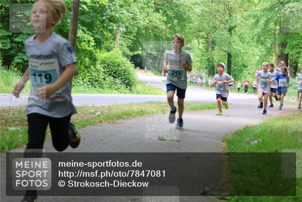 17.05.2025 - Störlauf Strokosch-Dieckow http://msf.ph/oto/7847081 17.05.2025 13:40:40 Laufen 119, 215, 327, 133 meine-sportfotos.de