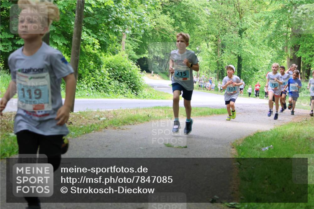 17.05.2025 - Störlauf Strokosch-Dieckow http://msf.ph/oto/7847085 17.05.2025 13:40:40 Laufen 119, 215, 327, 133 meine-sportfotos.de