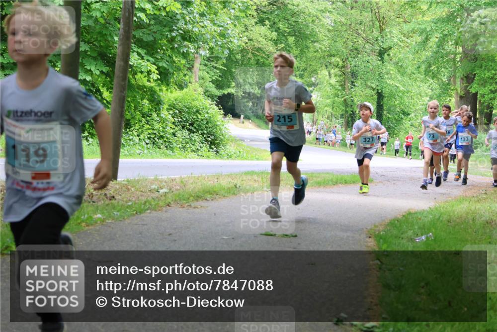 17.05.2025 - Störlauf Strokosch-Dieckow http://msf.ph/oto/7847088 17.05.2025 13:40:40 Laufen 215, 119, 327, 73, 133 meine-sportfotos.de