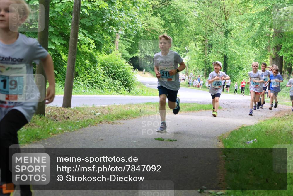 17.05.2025 - Störlauf Strokosch-Dieckow http://msf.ph/oto/7847092 17.05.2025 13:40:40 Laufen 215, 19, 327, 133 meine-sportfotos.de