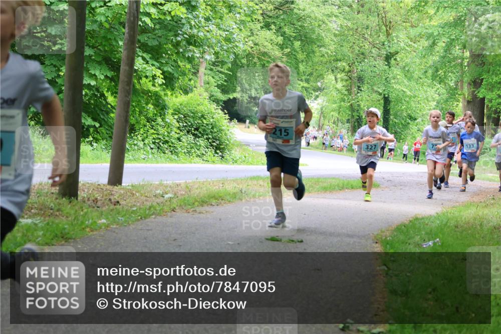 17.05.2025 - Störlauf Strokosch-Dieckow http://msf.ph/oto/7847095 17.05.2025 13:40:40 Laufen 215, 327, 133 meine-sportfotos.de