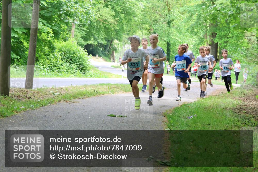 17.05.2025 - Störlauf Strokosch-Dieckow http://msf.ph/oto/7847099 17.05.2025 13:40:42 Laufen 327, 133, 263, 138 meine-sportfotos.de