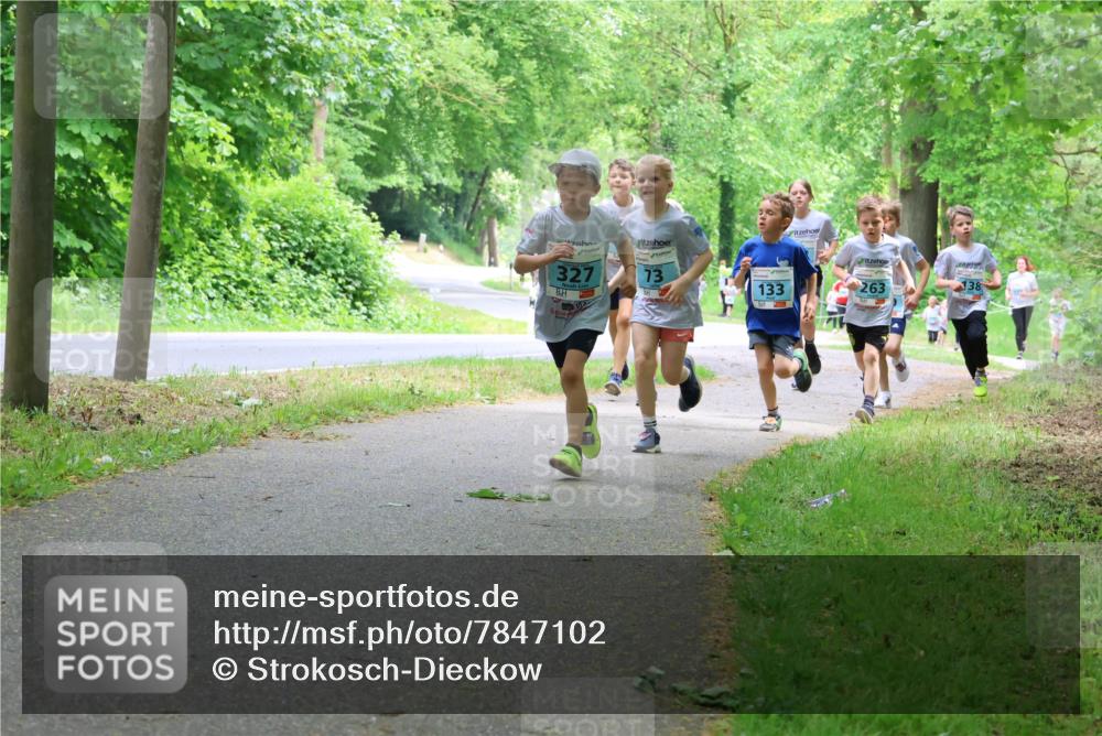 17.05.2025 - Störlauf Strokosch-Dieckow http://msf.ph/oto/7847102 17.05.2025 13:40:42 Laufen 327, 133, 263, 138 meine-sportfotos.de