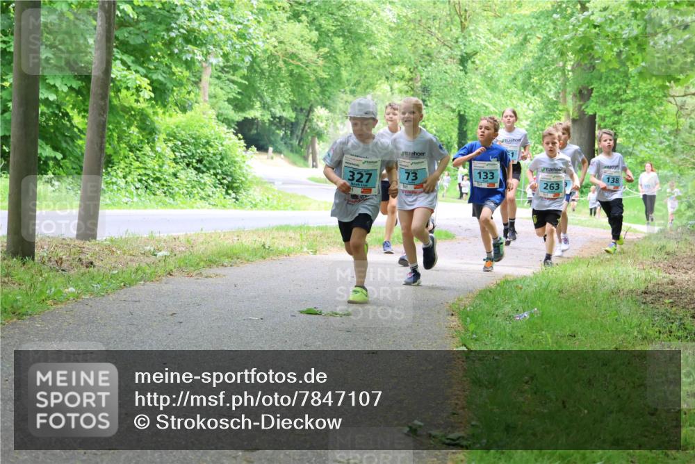 17.05.2025 - Störlauf Strokosch-Dieckow http://msf.ph/oto/7847107 17.05.2025 13:40:42 Laufen 327, 73, 133, 263, 138 meine-sportfotos.de