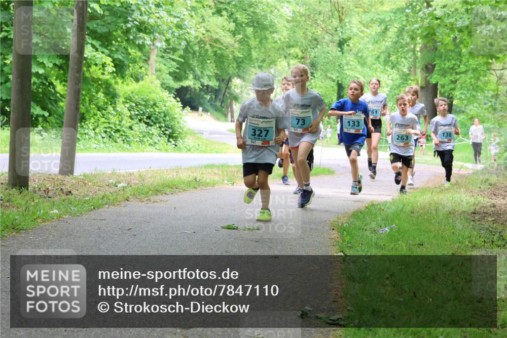 17.05.2025 - Störlauf Strokosch-Dieckow http://msf.ph/oto/7847110 17.05.2025 13:40:43 Laufen 327, 73, 133, 261, 263, 138 meine-sportfotos.de
