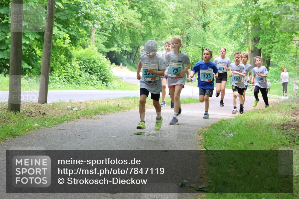 17.05.2025 - Störlauf Strokosch-Dieckow http://msf.ph/oto/7847119 17.05.2025 13:40:43 Laufen 327, 73, 133, 261, 263, 138 meine-sportfotos.de