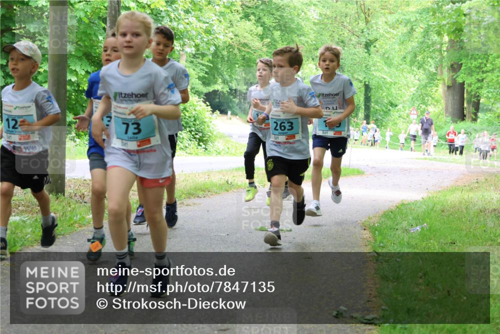 17.05.2025 - Störlauf Strokosch-Dieckow http://msf.ph/oto/7847135 17.05.2025 13:40:45 Laufen 12, 73, 263 meine-sportfotos.de