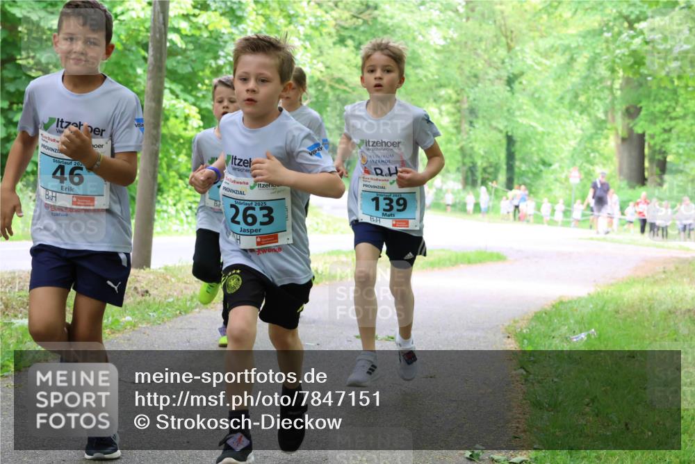 17.05.2025 - Störlauf Strokosch-Dieckow http://msf.ph/oto/7847151 17.05.2025 13:40:46 Laufen 202, 46, 2025, 263, 2025, 139 meine-sportfotos.de