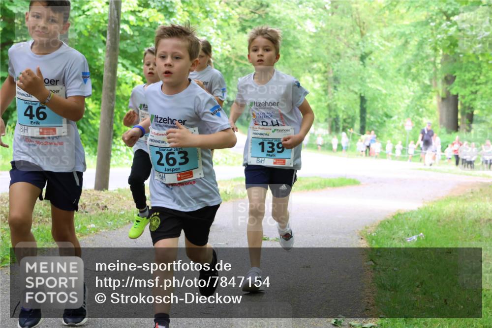 17.05.2025 - Störlauf Strokosch-Dieckow http://msf.ph/oto/7847154 17.05.2025 13:40:46 Laufen 2, 46, 2025, 263, 2025, 139 meine-sportfotos.de