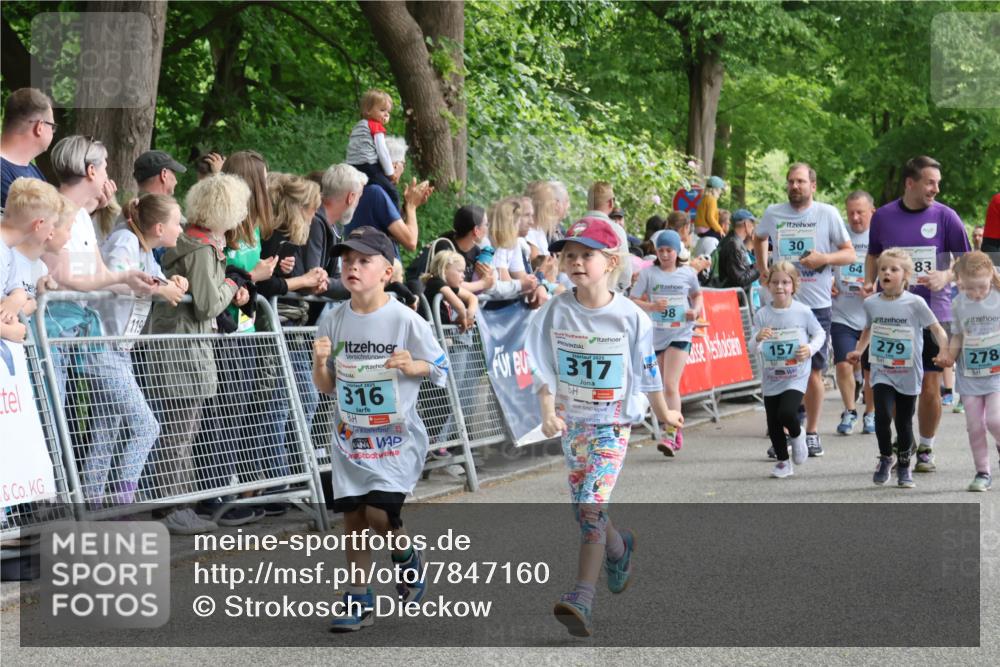 17.05.2025 - Störlauf Strokosch-Dieckow http://msf.ph/oto/7847160 17.05.2025 13:45:02 Ziel 316, 2025, 317, 1, 98, 30, 83, 64, 157, 279, 278 meine-sportfotos.de