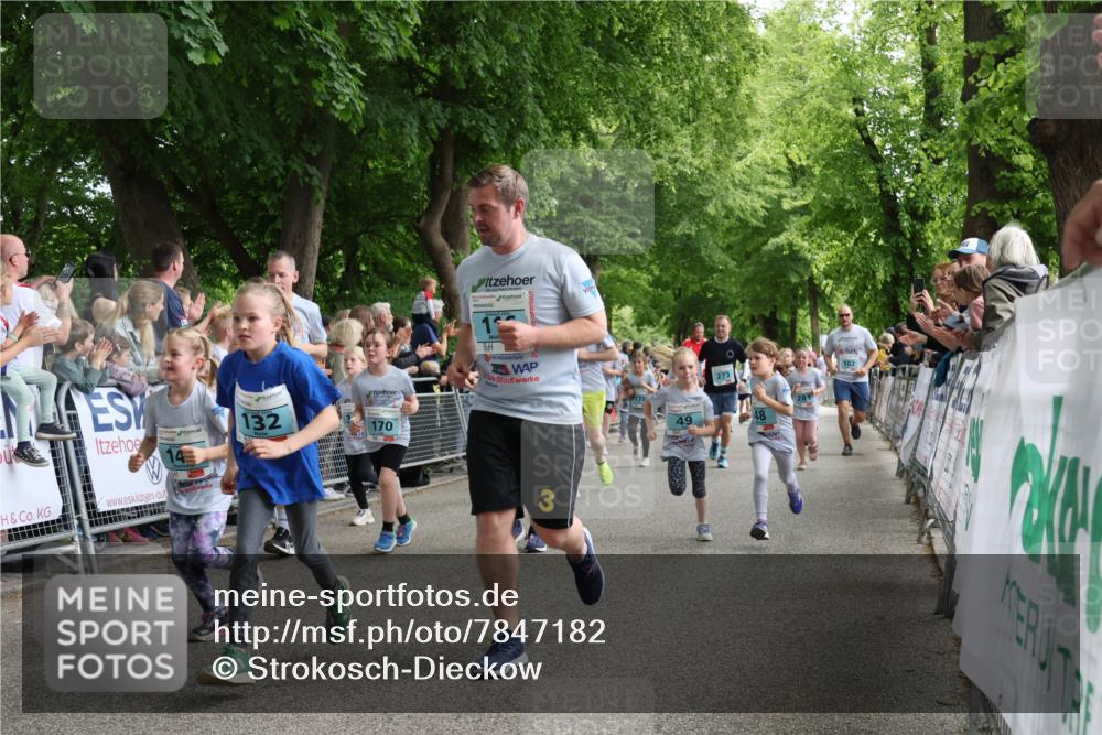 17.05.2025 - Störlauf Strokosch-Dieckow http://msf.ph/oto/7847182 17.05.2025 13:45:09 Ziel 132, 170, 273, 49, 48, 281, 102 meine-sportfotos.de