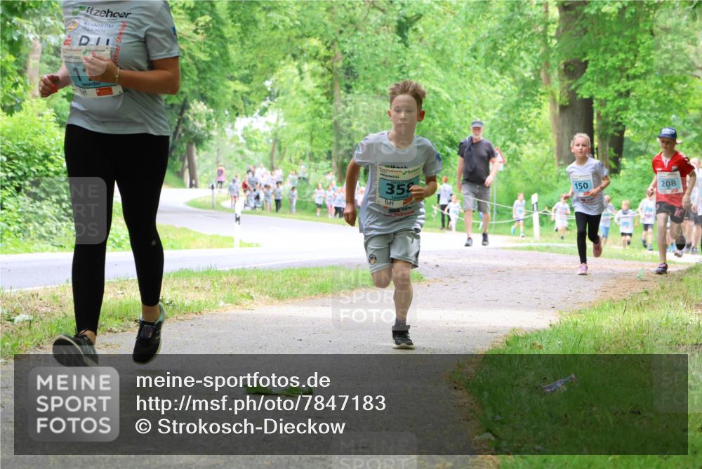 17.05.2025 - Störlauf Strokosch-Dieckow http://msf.ph/oto/7847183 17.05.2025 13:40:58 Laufen 35, 150, 208 meine-sportfotos.de