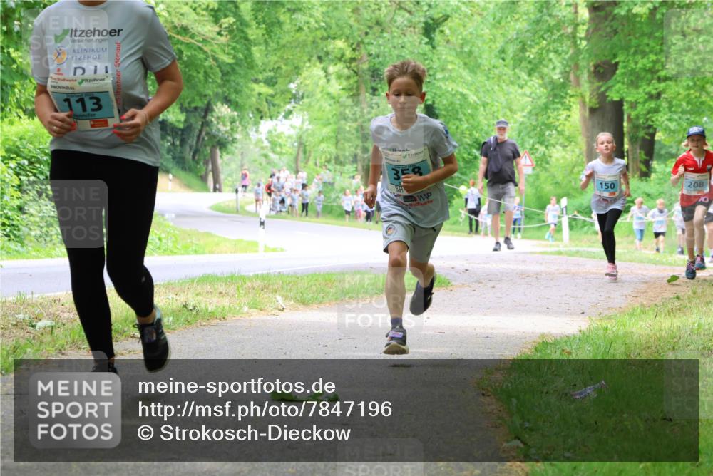 17.05.2025 - Störlauf Strokosch-Dieckow http://msf.ph/oto/7847196 17.05.2025 13:40:58 Laufen 113, 358, 150, 208 meine-sportfotos.de