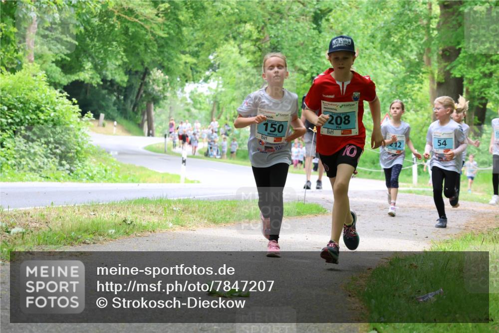 17.05.2025 - Störlauf Strokosch-Dieckow http://msf.ph/oto/7847207 17.05.2025 13:41:02 Laufen 2025, 150, 2025, 208, 54, 12, 10 meine-sportfotos.de