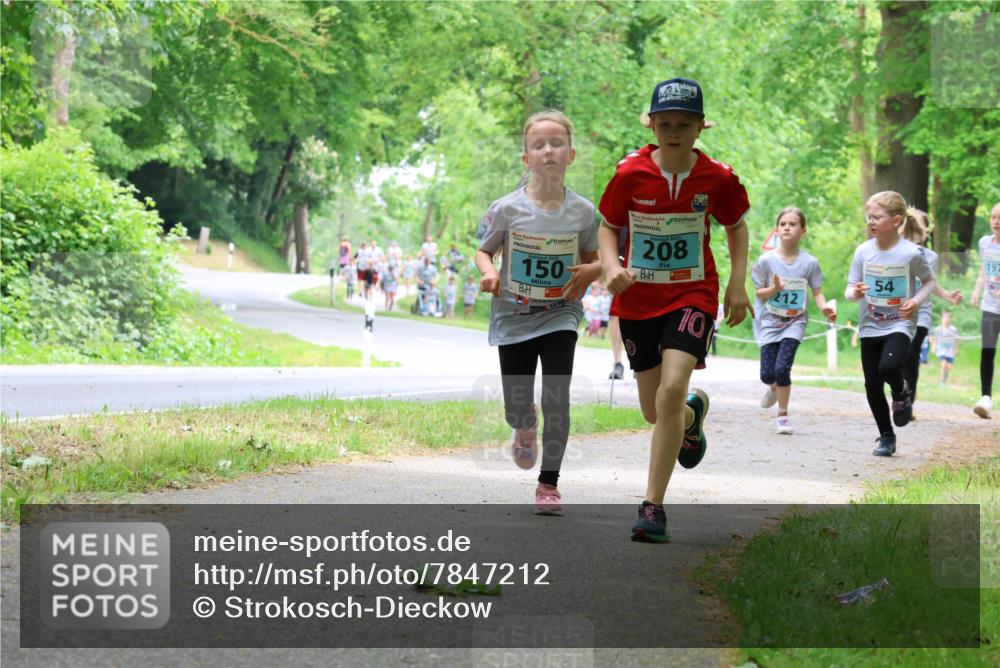 17.05.2025 - Störlauf Strokosch-Dieckow http://msf.ph/oto/7847212 17.05.2025 13:41:02 Laufen 150, 2025, 208, 197, 54, 212, 10 meine-sportfotos.de