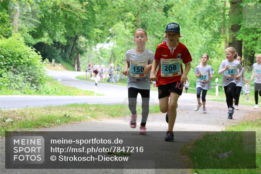17.05.2025 - Störlauf Strokosch-Dieckow http://msf.ph/oto/7847216 17.05.2025 13:41:02 Laufen 150, 2025, 208, 197, 54, 212, 10 meine-sportfotos.de