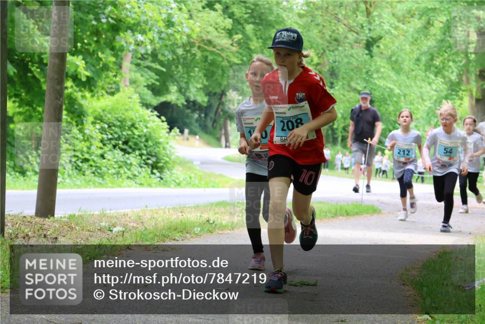 17.05.2025 - Störlauf Strokosch-Dieckow http://msf.ph/oto/7847219 17.05.2025 13:41:03 Laufen 2025, 208, 10, 54, 212 meine-sportfotos.de