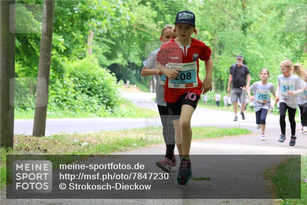17.05.2025 - Störlauf Strokosch-Dieckow http://msf.ph/oto/7847230 17.05.2025 13:41:03 Laufen 2025, 208, 10, 212, 54 meine-sportfotos.de
