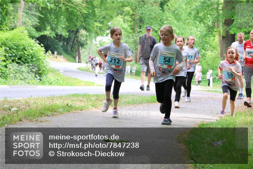 17.05.2025 - Störlauf Strokosch-Dieckow http://msf.ph/oto/7847238 17.05.2025 13:41:05 Laufen 2025, 212, 54, 97, 56 meine-sportfotos.de