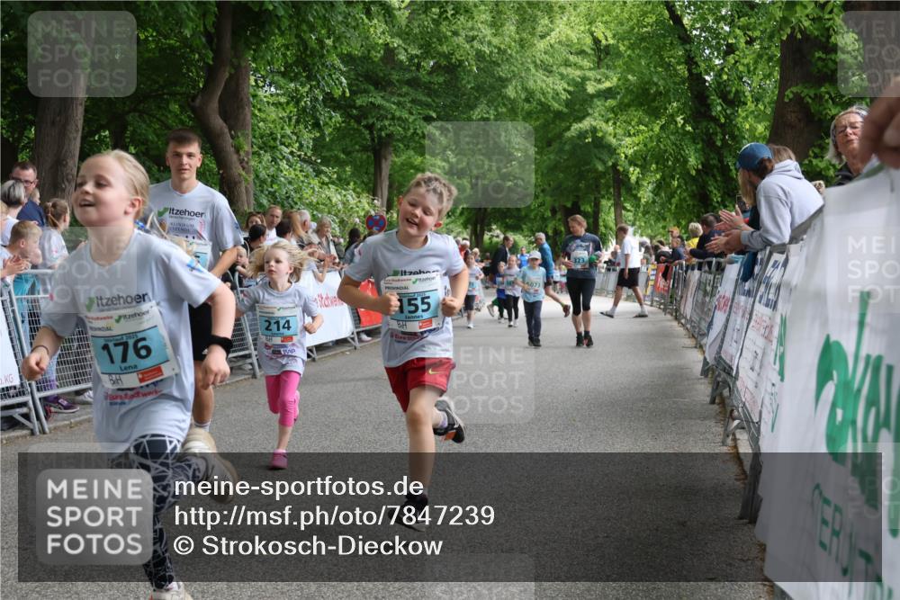 17.05.2025 - Störlauf Strokosch-Dieckow http://msf.ph/oto/7847239 17.05.2025 13:45:33 Ziel 2025, 176, 214, 155 meine-sportfotos.de