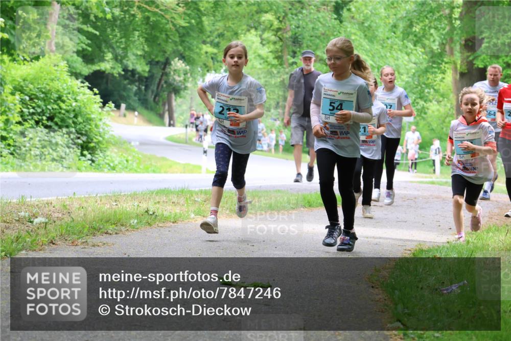 17.05.2025 - Störlauf Strokosch-Dieckow http://msf.ph/oto/7847246 17.05.2025 13:41:05 Laufen 23, 54, 64 meine-sportfotos.de