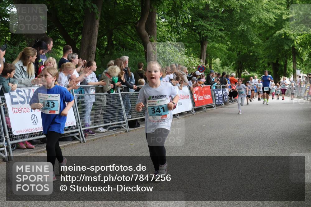 17.05.2025 - Störlauf Strokosch-Dieckow http://msf.ph/oto/7847256 17.05.2025 13:45:42 Ziel 143, 1196, 2025, 341 meine-sportfotos.de
