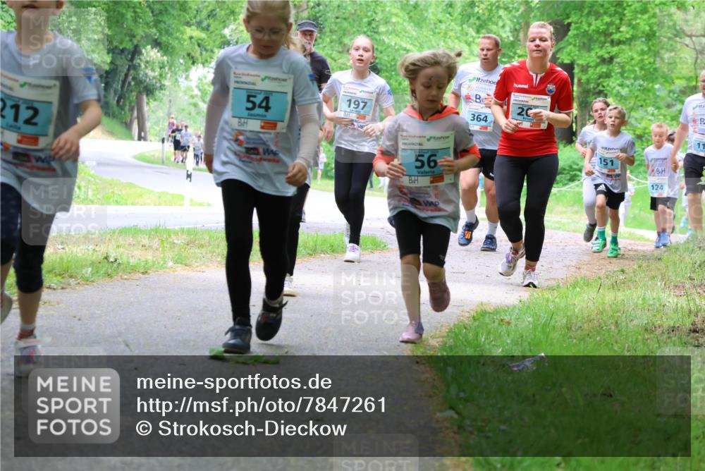 17.05.2025 - Störlauf Strokosch-Dieckow http://msf.ph/oto/7847261 17.05.2025 13:41:07 Laufen 212, 54, 197, 56, 364, 20, 151, 124, 11 meine-sportfotos.de