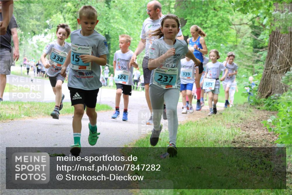 17.05.2025 - Störlauf Strokosch-Dieckow http://msf.ph/oto/7847282 17.05.2025 13:41:12 Laufen 338, 20, 15, 124, 2025, 237, 339, 343 meine-sportfotos.de
