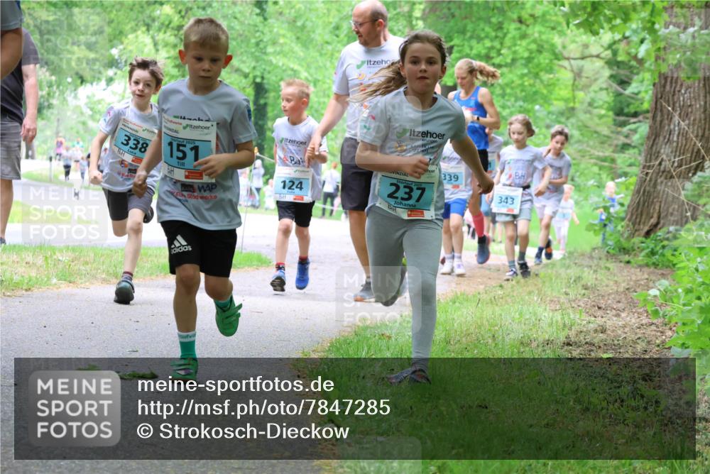17.05.2025 - Störlauf Strokosch-Dieckow http://msf.ph/oto/7847285 17.05.2025 13:41:12 Laufen 2025, 338, 151, 172, 124, 2025, 237, 339, 343 meine-sportfotos.de