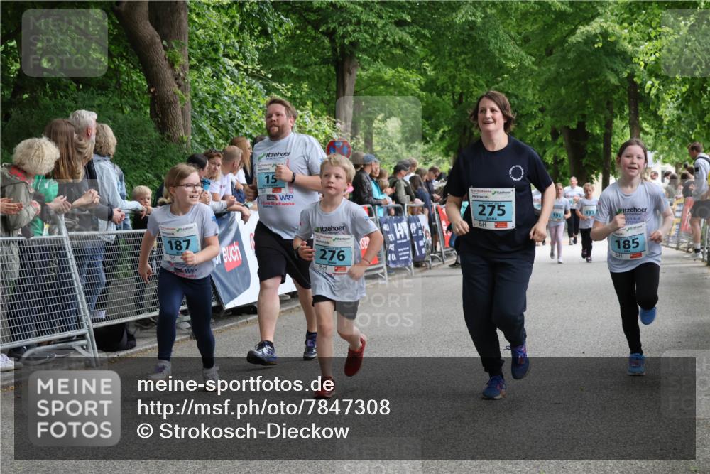 17.05.2025 - Störlauf Strokosch-Dieckow http://msf.ph/oto/7847308 17.05.2025 13:46:03 Ziel 187, 15, 276, 275, 183, 195, 185 meine-sportfotos.de