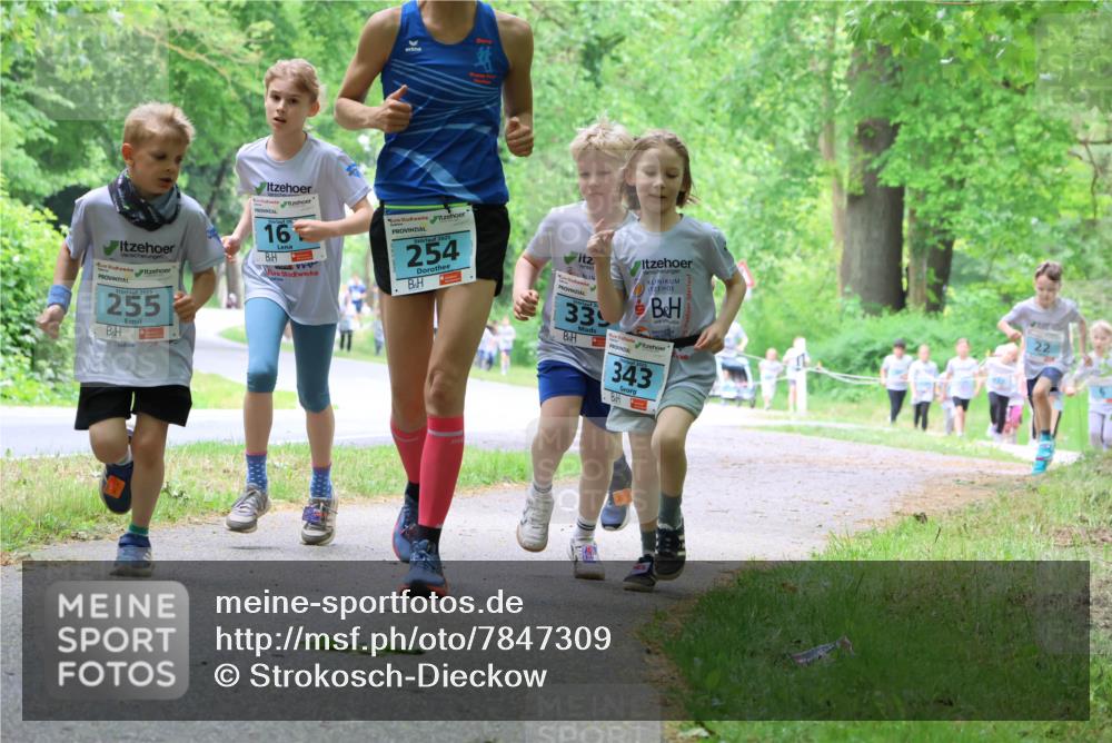 17.05.2025 - Störlauf Strokosch-Dieckow http://msf.ph/oto/7847309 17.05.2025 13:41:18 Laufen 2025, 255, 16, 2025, 254, 339, 343, 22 meine-sportfotos.de