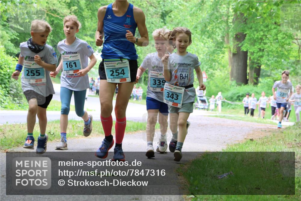 17.05.2025 - Störlauf Strokosch-Dieckow http://msf.ph/oto/7847316 17.05.2025 13:41:18 Laufen 2025, 255, 2025, 161, 2025, 254, 339, 343, 22 meine-sportfotos.de