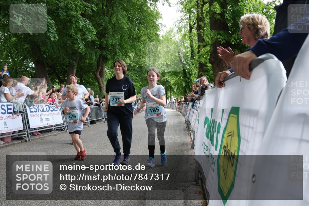 17.05.2025 - Störlauf Strokosch-Dieckow http://msf.ph/oto/7847317 17.05.2025 13:46:05 Ziel 276, 27, 185 meine-sportfotos.de