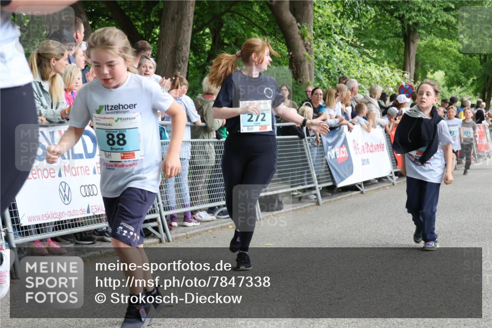 17.05.2025 - Störlauf Strokosch-Dieckow http://msf.ph/oto/7847338 17.05.2025 13:46:23 Ziel 2025, 88, 272, 351 meine-sportfotos.de