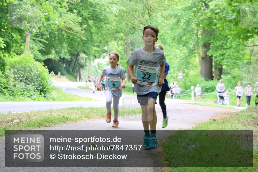 17.05.2025 - Störlauf Strokosch-Dieckow http://msf.ph/oto/7847357 17.05.2025 13:41:25 Laufen 2025, 22 meine-sportfotos.de