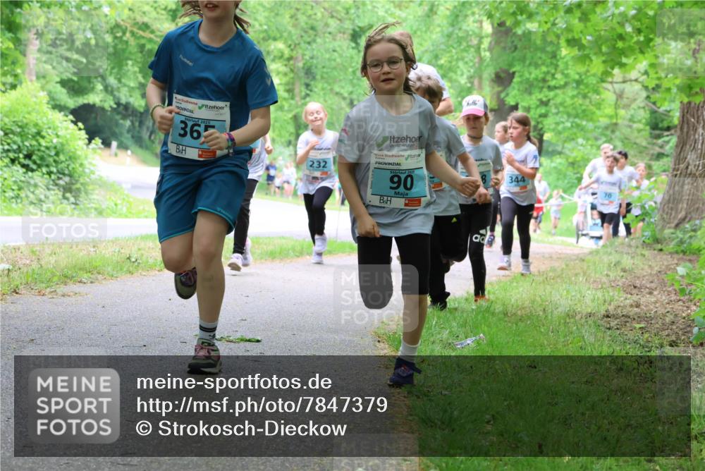 17.05.2025 - Störlauf Strokosch-Dieckow http://msf.ph/oto/7847379 17.05.2025 13:41:34 Laufen 2025, 36, 232, 2025, 90, 3, 344 meine-sportfotos.de