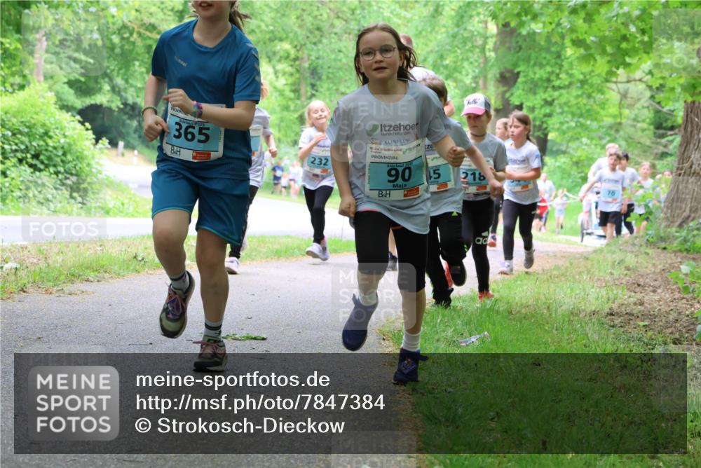 17.05.2025 - Störlauf Strokosch-Dieckow http://msf.ph/oto/7847384 17.05.2025 13:41:34 Laufen 365, 232, 2025, 90, 15, 218 meine-sportfotos.de