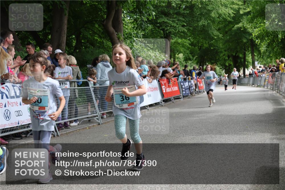 17.05.2025 - Störlauf Strokosch-Dieckow http://msf.ph/oto/7847390 17.05.2025 13:46:57 Ziel 50, 0000, 2025, 1196, 36 meine-sportfotos.de